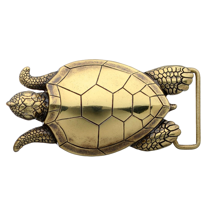 Polished brass sea turtle belt buckle, a unique animal design fashion accessory. Italian-designed jewelry for men and women.
