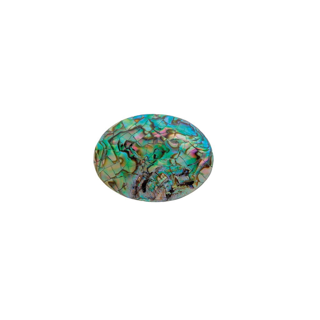 Oval belt buckle with multicolored abalone shell inlay on a transparent background