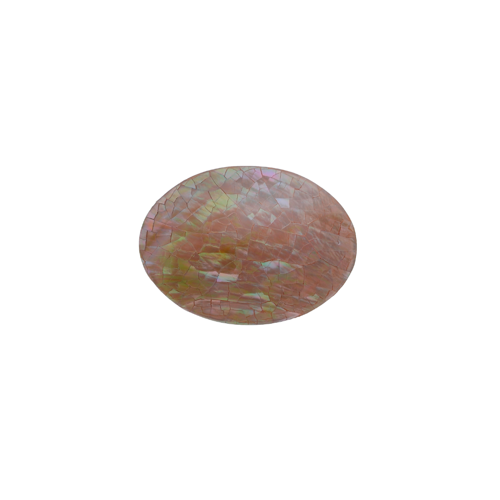 Multicolored oval belt buckle with cracked shell pattern on a transparent background.