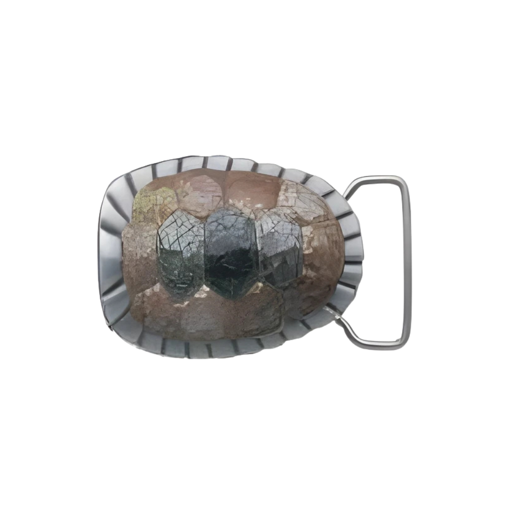 Turtle Shell 40mm Belt Buckle – English Silver Finish + Cracked Brown Lip & Black Lip Mother of Pearl